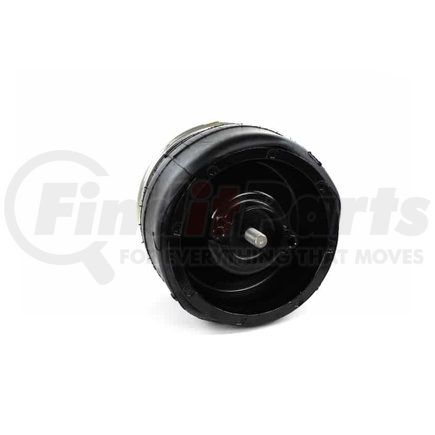 Firestone W013589039 1T15M0 AIR SPRING