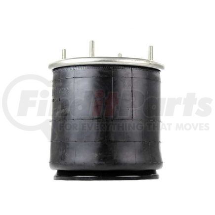 Firestone W013589177 1T19L7 AIR SPRING