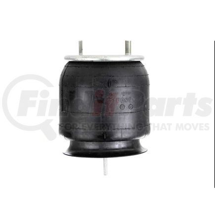 Firestone W013589807 AIRSPRING