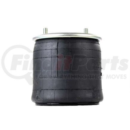 Firestone W013588782 1T17B5 AIR SPRING