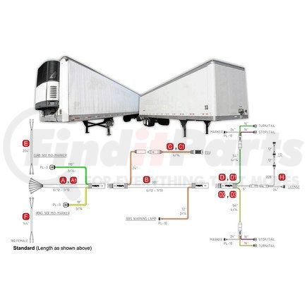 Phillips Industries 34-1231-384 Trailer Harness - Main, 384'' (32'), 53' trailer