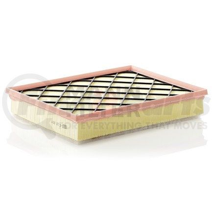 MANN+HUMMEL Filters C33001 Air Filter Element