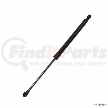 Lesjöfors 8008413 Hood Lift Support for BMW