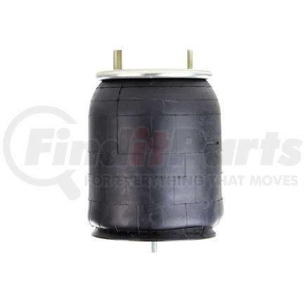 Firestone W013589921 AIRSPRING