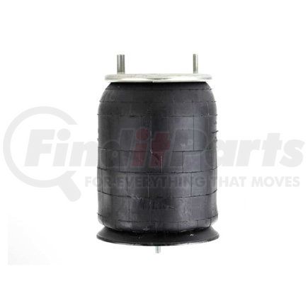 Firestone W013589370 AIRSPRING