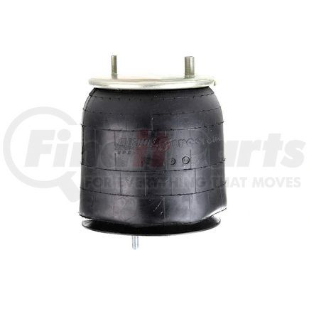 Firestone W013589466 1T15M6 AIR SPRING