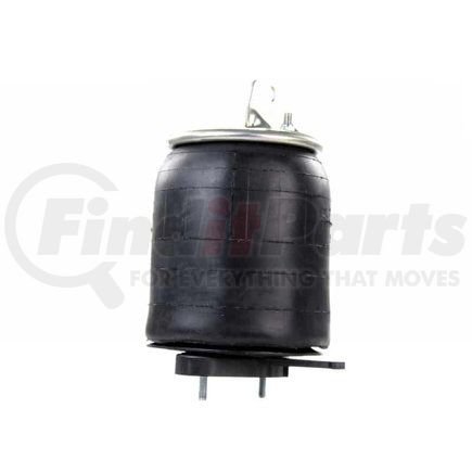 Firestone W013589663 1T15M8 AIR SPRING