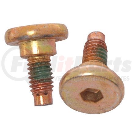 Raybestos H5019W Brake Caliper Bolts