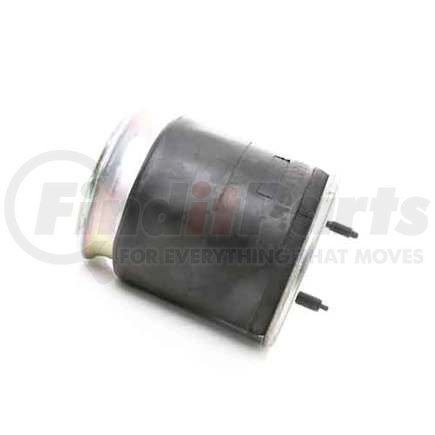 Firestone W013589121 AIRSPRING