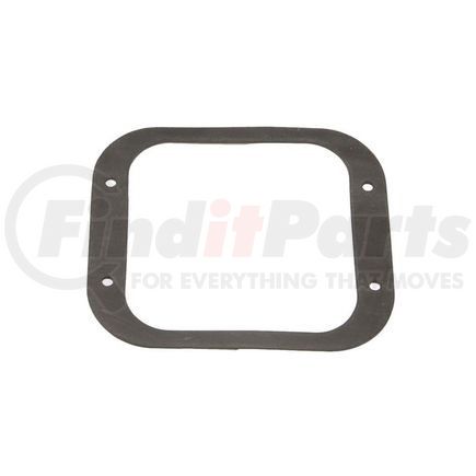 Peterbilt 20-15920 GASKET-HANDLE DOOR RELSE