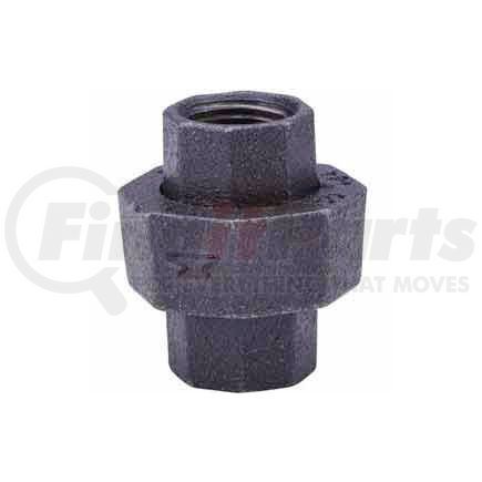 Anvil International 0812508810 1-1/4 In. Black Malleable Union 150 PSI Lead Free