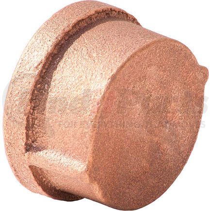 Merit Brass XNL116-20 1-1/4 In. Lead Free Brass Cap - FNPT - 125 PSI - Import