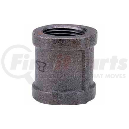 Anvil International 0810081208 2 In. Black Malleable Coupling 150 PSI Lead Free