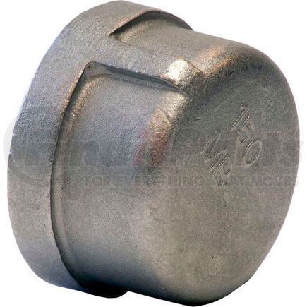 Merit Brass K416-12 3/4 In. 304 Stainless Steel Cap - FNPT - Class 150 - 300 PSI - Import