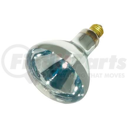 Satco S4999 Satco S4999 250r40/1 250w Incandescent W/ Medium Base Bulb