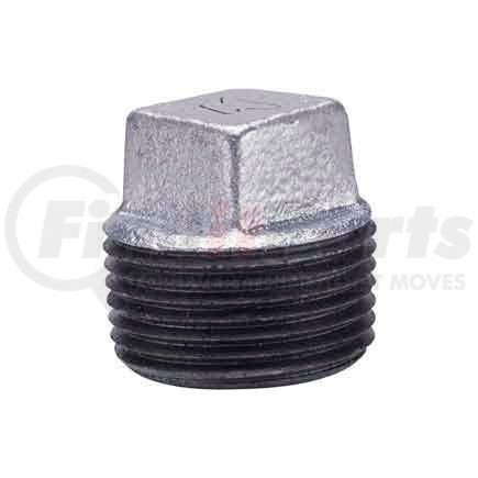 Anvil International 0819902578 2 In Galvanized Malleable Cored Plug 150 PSI Lead Free