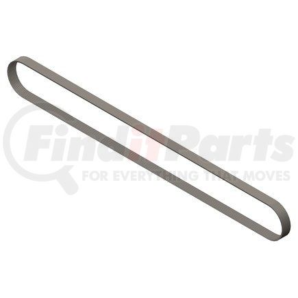 Cummins 3002131 V Ribbed Belt