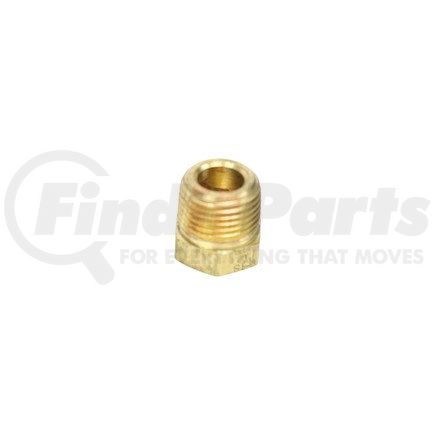 Newstar S-24796 Brass Hex Head Plug