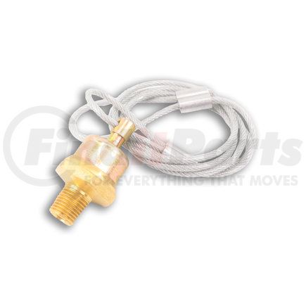 Power Products 12103P Pull Drain Valves - 3 ft. Cord - 1/4 pt.