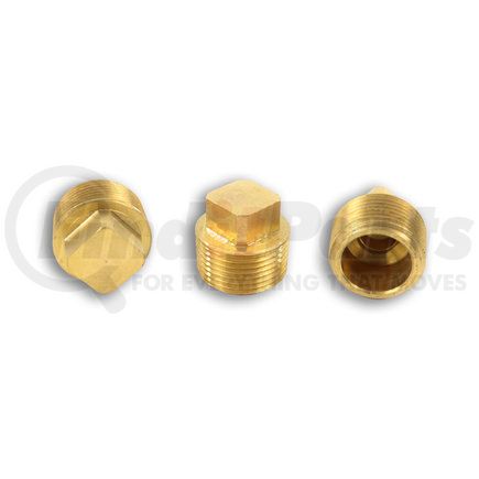 Power Products BP109-16 Brass Square Head Plug 1