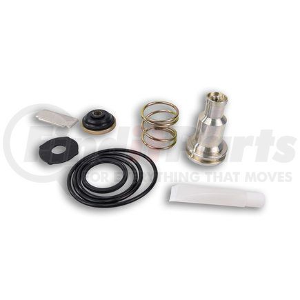 Power Products 5005037P AD-9 PURGE VALVE KIT (HARD SEAT)