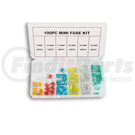 HD Value SK2-HDVMINI 100-Piece Mini Blade Fuse Assortment