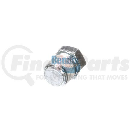 Bendix 232999N Pipe Plug, Service New