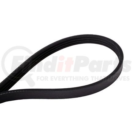 Continental AG 4040425 Multi-V Belt