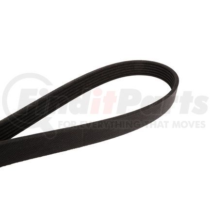 Continental AG 4060335 Multi-V Belt