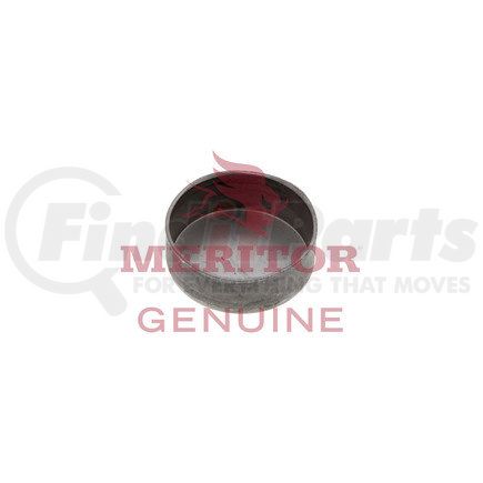 Meritor PLWE366 PLUG EXPANSION