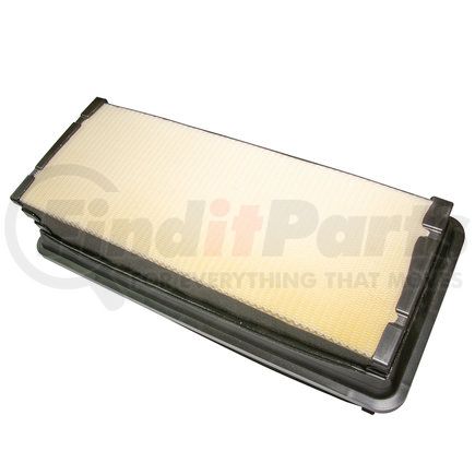 Peterbilt P621730 ELEMENT-AIR FILTER