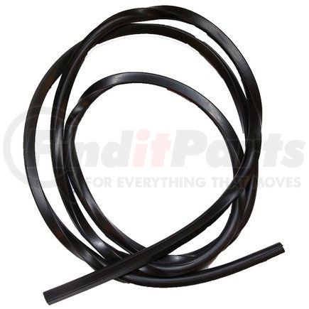 Newstar S-10378 Weatherstrip, Door