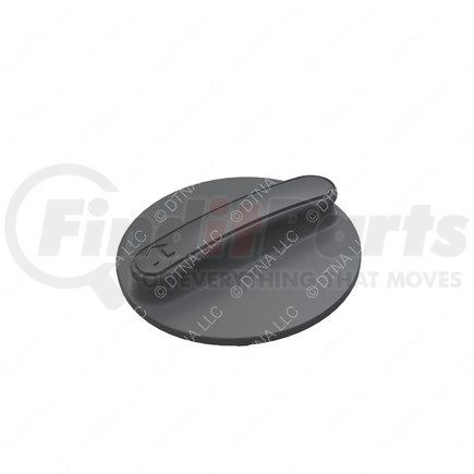 Freightliner 18-42875-003 HANDLE-RE