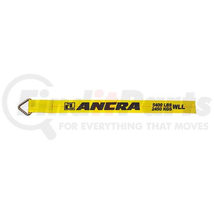 Ancra 43795-11-30 4"X30' WINCH STRAP W/DELTA TRIANG