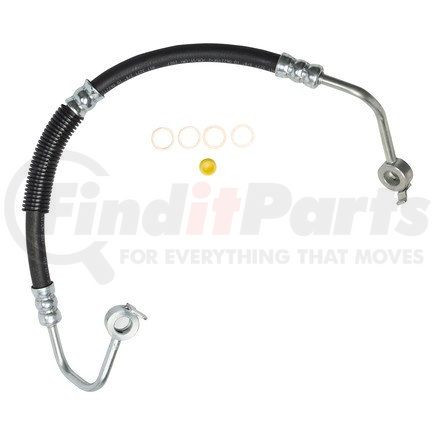 Edelmann 80382 HOSE - PRS