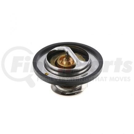 PAI 481829 THERMOSTAT