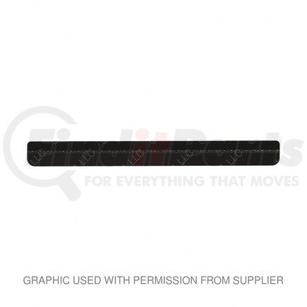 Freightliner 22-52437-016 STEP-825 X 205,STL,BLACK