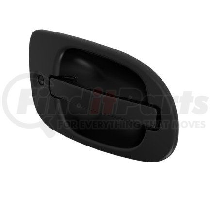 Freightliner A18-53241-002 HANDLE-LH