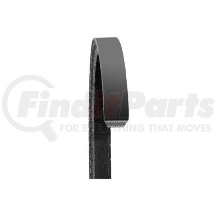 Dayco 22555DR AUTO V-BELT