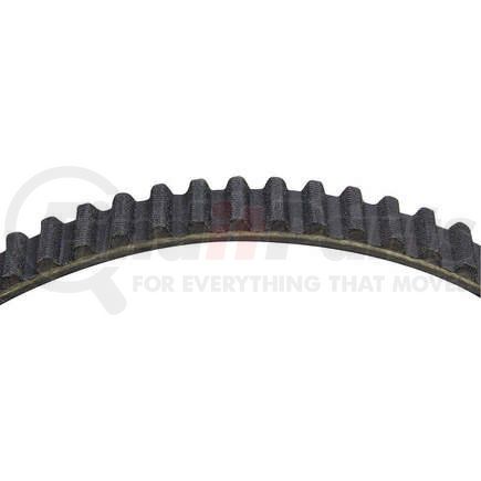 Dayco 95305 TIMING BELT