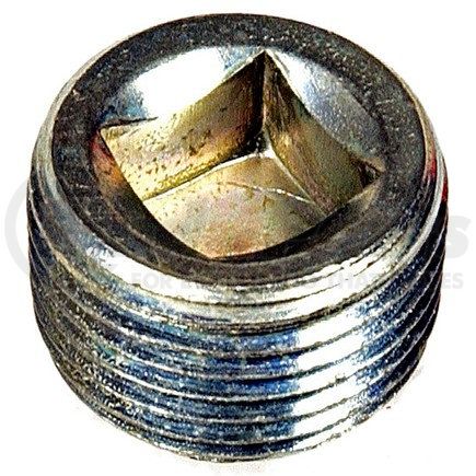 Dorman 090-019 PIPE PLUG C.S. SQ.