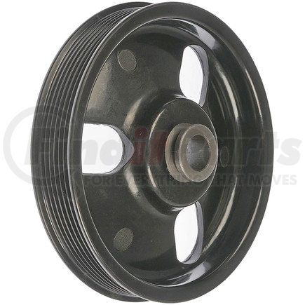Dorman 300-100 PWR STEERING PULLEY