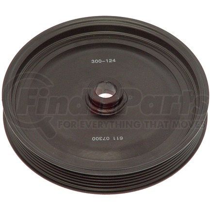 Dorman 300-124 PWR STEERING PULLEY