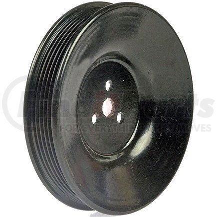 Dorman 300-921 SMOG PUMP PULLEY