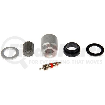 Dorman 609-109.1 TPMS VALVE CORE KIT