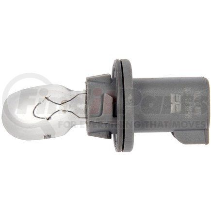 Dorman 645-558 Socket