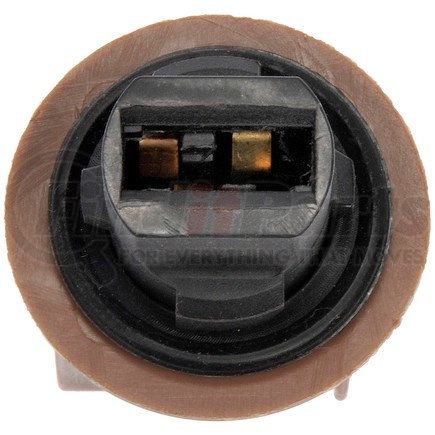 Dorman 645-103 Socket