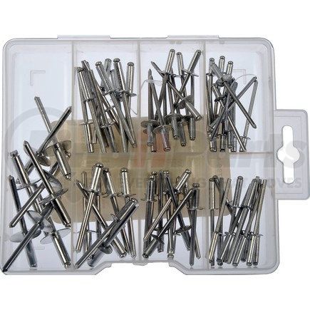 Dorman 799-445 ALUM RIVETS VALUE PK