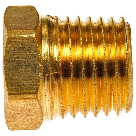 Dorman 785-422D Pipe Plug