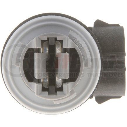 Dorman 84764 LAMP SOCKET